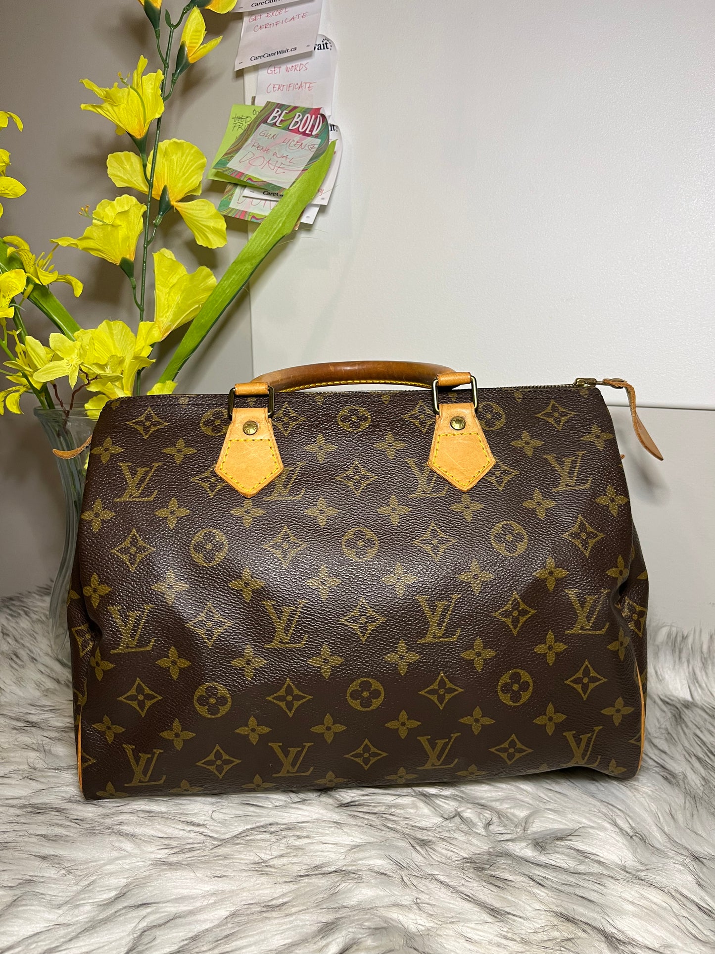 LUIS VUITTON SPEEDY 30